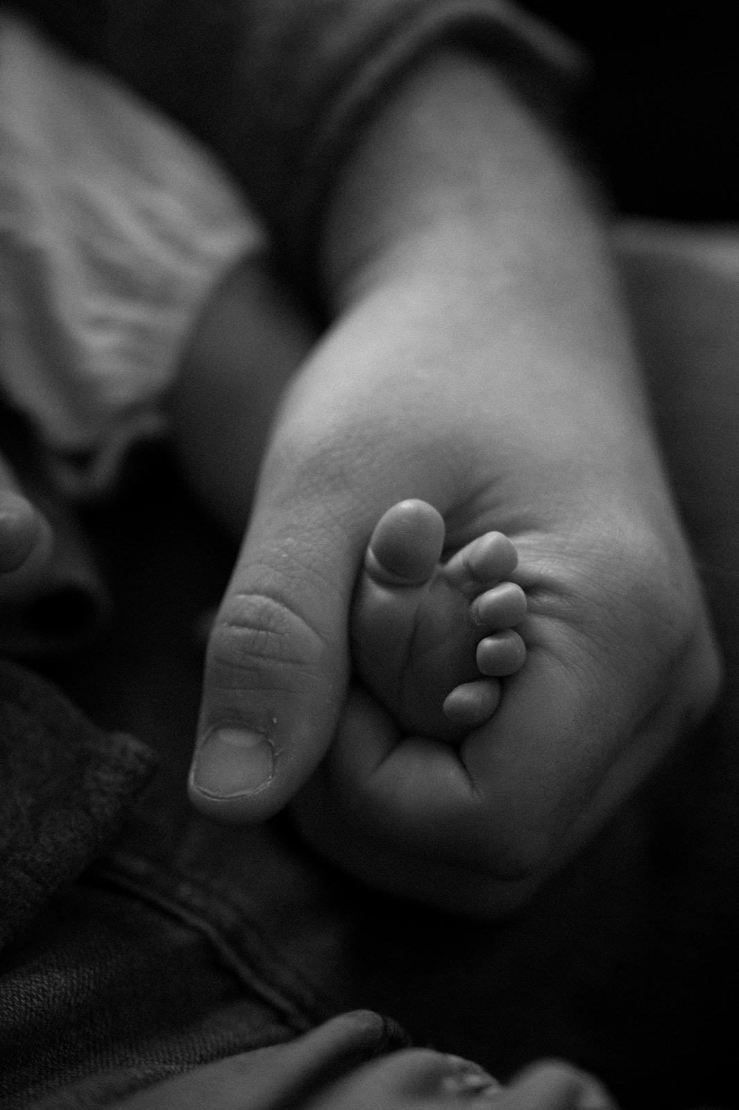 babymaeve 88 websize